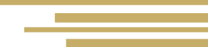 Gold pattern horizontal Gold pattern horizontal
